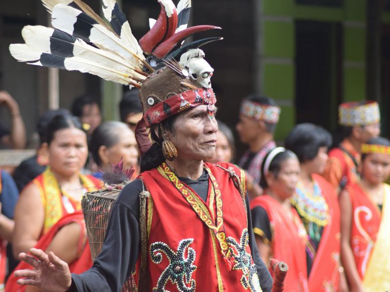vibrant celebration of dayak culture with traditional costumes and rit image